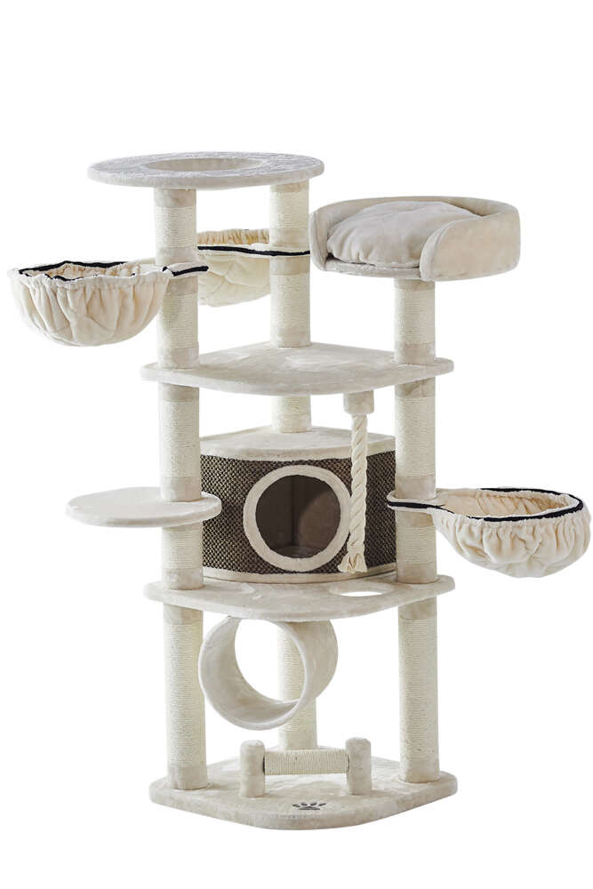 Nobby Kratzbaum Elif